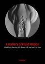 A Gallery of Fluid Motion