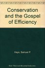 Conservation and the Gospel of Efficiency