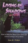 Living in Shadows: How to Help the Stray Cat in Your Life (Without Adding To the Problem)