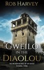 Gweilo in the Diaolou The misadventures of an Aussie in China