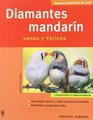 Dimantes Mandarin / Zebra Finch