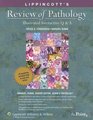 Lippincott's  Review of Pathology Illustrated Interactive Q  A