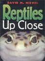 Reptiles Up Close