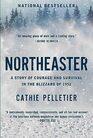 Northeaster A Story of Courage and Survival in the Blizzard of 1952