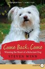 Come Back Como  Winning the Heart of a Reluctant Dog