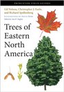 Trees of Eastern North America