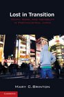 Lost in Transition Youth Work and Instability in Postindustrial Japan