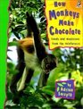 How Monkeys Make Chocolate