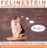 Felinestein  Pampering the Genius in Your Cat