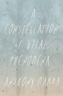 A Constellation of Vital Phenomena A Novel