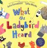 What the Ladybird Heard