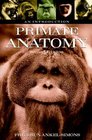 Primate Anatomy  An Introduction