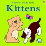 Touchy Feely Book of Kittens