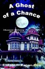 Ghost of a Chance: Shannon Delaney Paranormal Mystery Series
