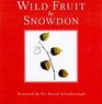 Wild Fruit by Snowdon