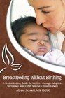 Breastfeeding Without Birthing A Breastfeeding Guide for Mothers through Adoption Surrogacy and Other Special Circumstances