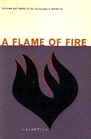 A Flame of Fire The Life and Work of R V Bingham DD