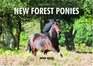 The Spirit of the New Forest Ponies