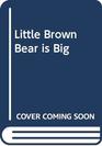 Little Brown Bear Is Big