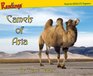 Camels of Asia