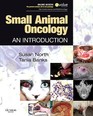 Small Animal Oncology An Introduction