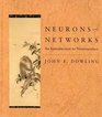 Neurons and Networks An Introduction to Neuroscience