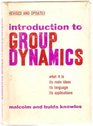 Introduction to group dynamics