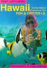 Reef Watchers Hawaii Reef Fish and Critter ID  Snorkel Skills  Professional Tips