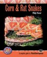 Corn  Rat Snakes