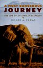 A Most Dangerous Journey The Life of an African Elephant