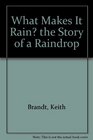 What Makes It Rain The Story of a Raindrop