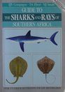 Guide to the sharks and rays of southern Africa