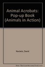 Animal Acrobats Popup Book