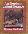 An Elephant Called Eleanor