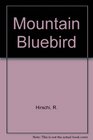 The Mountain Bluebird
