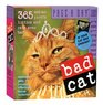 Bad Cat PageADay Calendar 2009