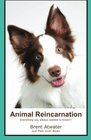 Animal Reincarnation Everything You Always Wanted to Know