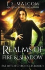 Realms of Fire and Shadow Fae Witch Chronicles Book 3