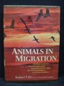 Animals in Migration