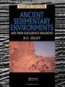 Ancient Sedimentary Environments And Their SubSurface Diagnosis