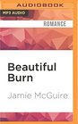 Beautiful Burn A Novel