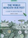 The World Beneath Our Feet A Guide to Life in the Soil