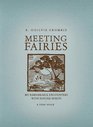 Meeting Fairies My Remarkable Encounters with Nature Spirits