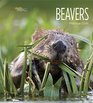 Living Wild Beavers