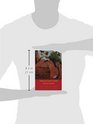Afternoon in the Central Nervous System A Selection of Poems