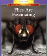 Flies Are Fascinating