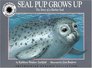 Seal Pup Grows Up  The Story of a Harbor Seal