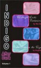 Indigo After Dark Volume 1