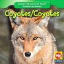 Coyotes/ Coyotes