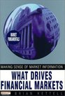 What Drives Financial Markets